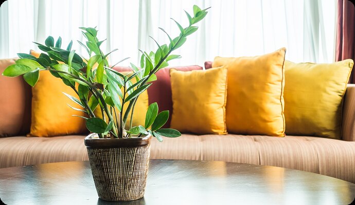 Mehmonxonalar va apartamentlar